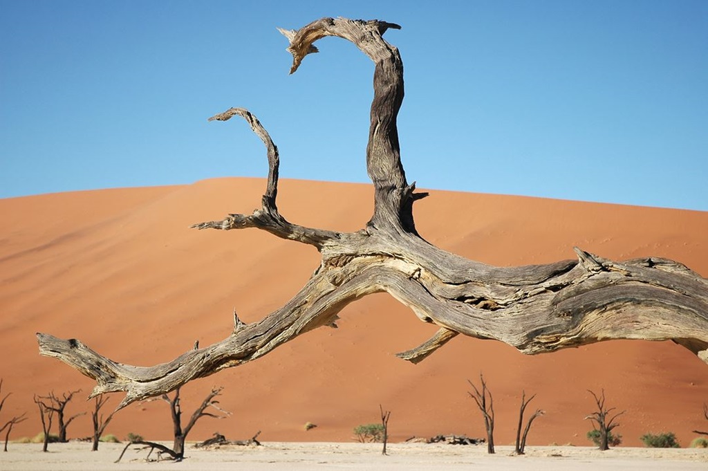 074   Namibia